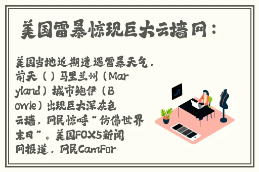 魅影app下载安装手机版