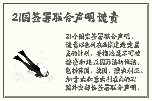久久久国产精华特点