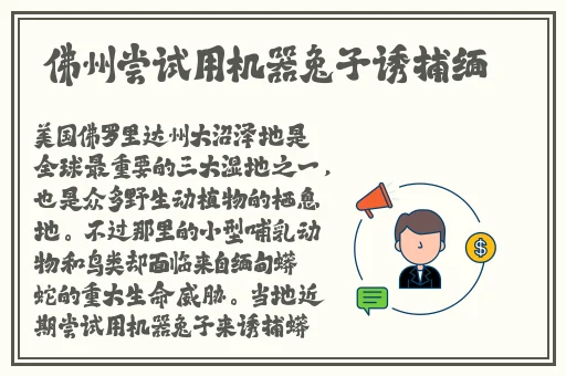中国XXXXXL17仙踪林电影